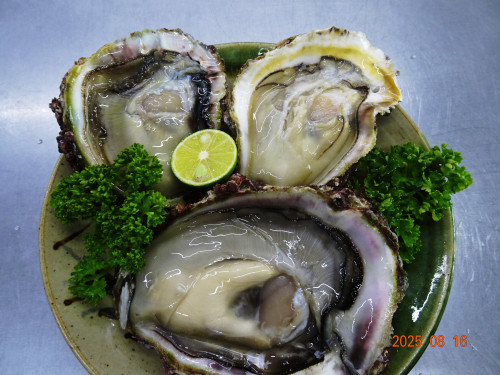 DSC06588.JPG