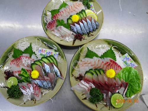 DSC07269.JPG