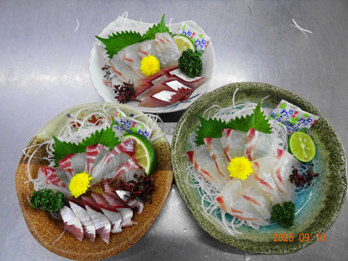 DSC07271.JPG