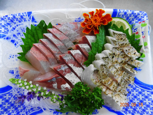 DSC07390.JPG