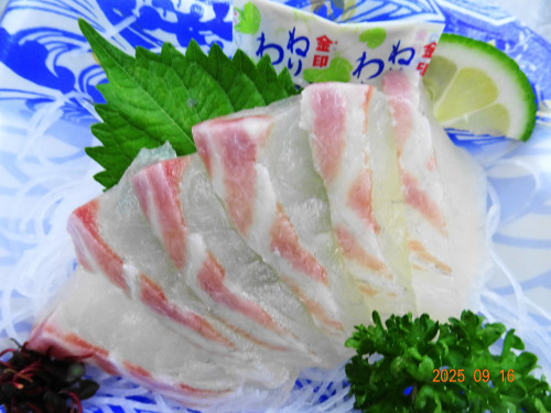 DSC07393.JPG