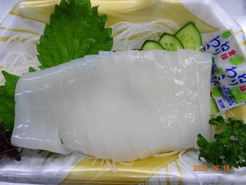 DSC07395.JPG