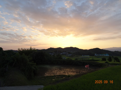 DSC07407.JPG
