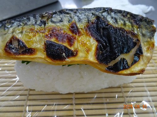 DSC07410.JPG