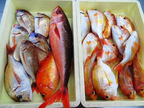 ホームグランド熊野