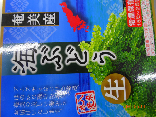 DSC03167.JPG
