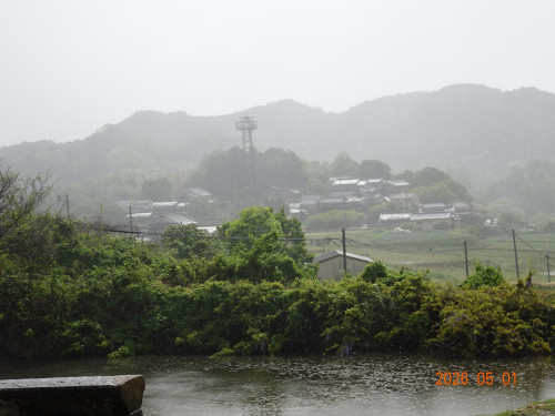 DSC03182.JPG