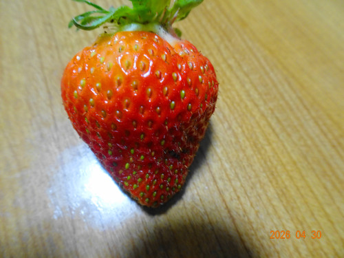 DSC03163.JPG