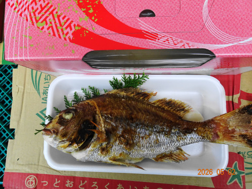 DSC03213.JPG