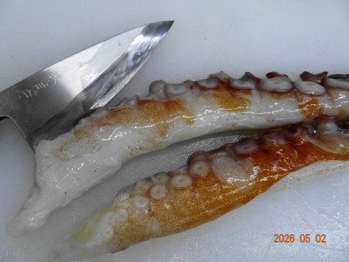 DSC03209.JPG