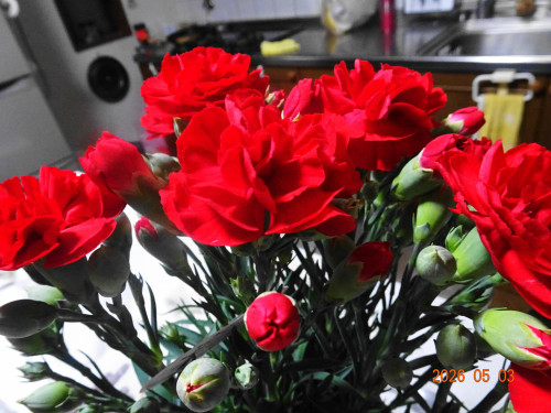 DSC03248.JPG