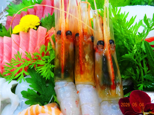 DSC03256.JPG