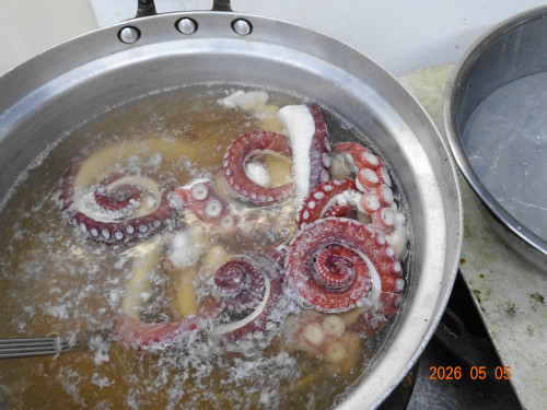 DSC03275.JPG