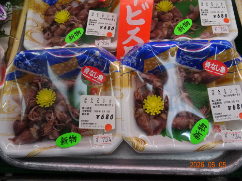 DSC03293.JPG