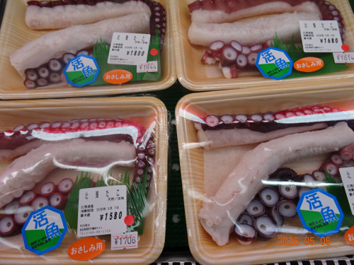 DSC03294.JPG