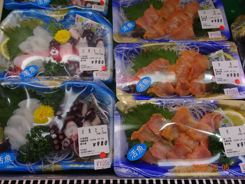 DSC03295.JPG