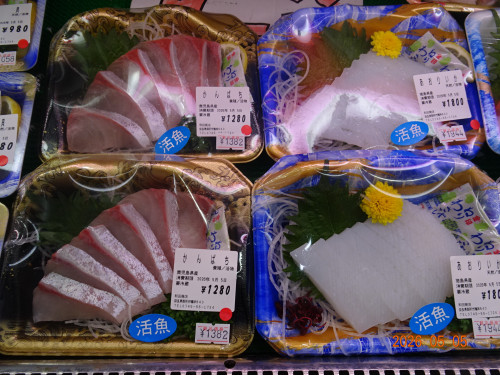 DSC03296.JPG