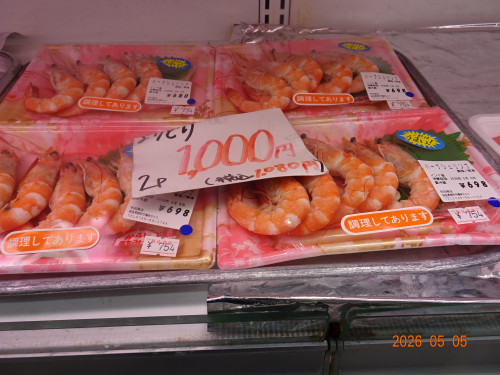 DSC03300.JPG