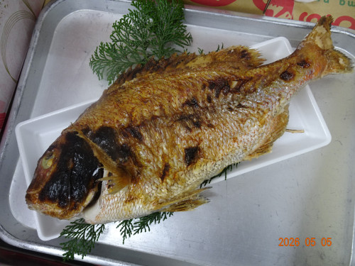 DSC03303.JPG