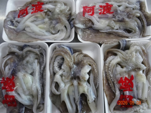DSC03350.JPG