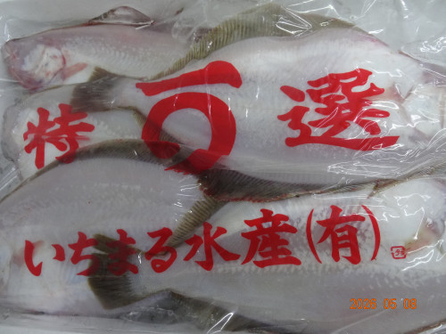 DSC03336.JPG