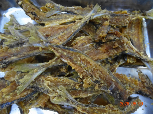 DSC03371.JPG
