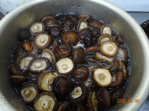DSC03360.JPG