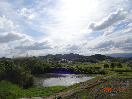 DSC03372.JPG