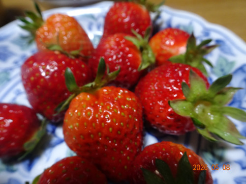 DSC03365.JPG