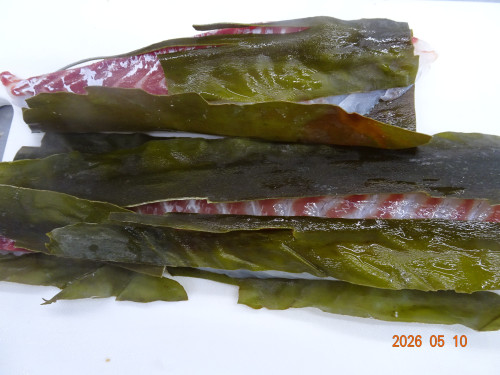 DSC03391.JPG