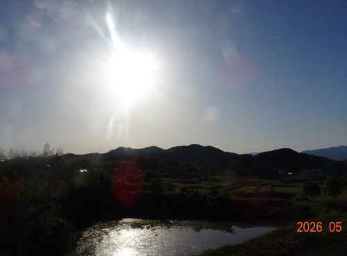 DSC03382.JPG