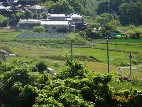 DSC03383.JPG