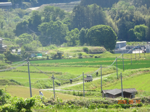 DSC03384.JPG