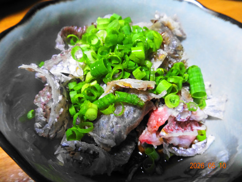 DSC03396.JPG