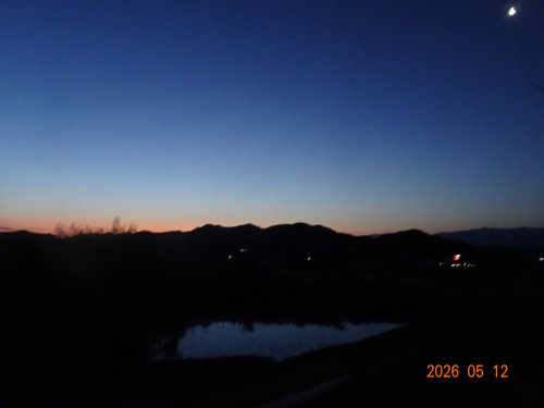 DSC03446.JPG