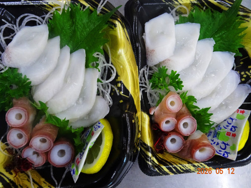 DSC03455.JPG