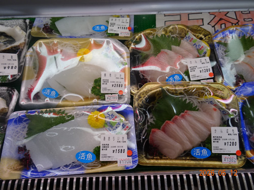 DSC03466.JPG