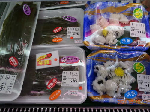 DSC03464.JPG