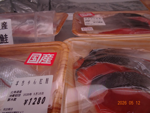 DSC03479.JPG