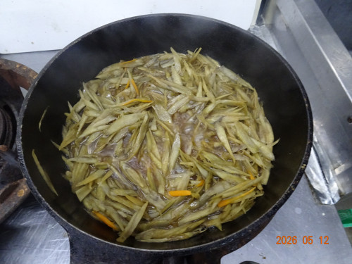DSC03482.JPG