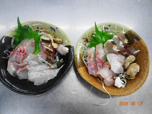 DSC03504 (1).JPG