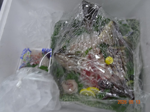 DSC03502.JPG