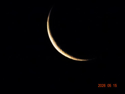 DSC03524.JPG