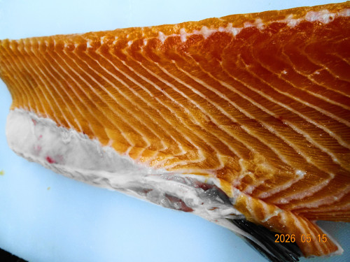 DSC03525.JPG