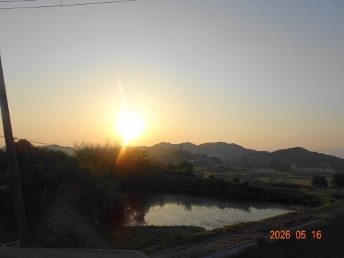 DSC03551.JPG