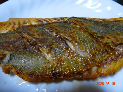 DSC03545.JPG