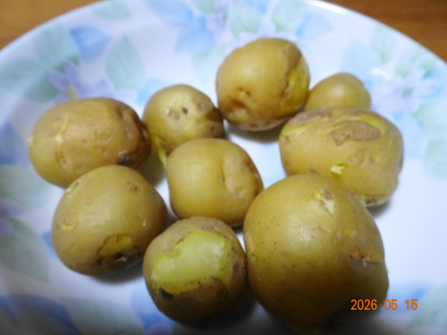 DSC03546.JPG