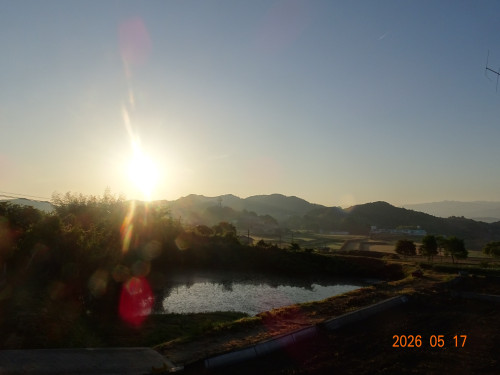 DSC03607.JPG
