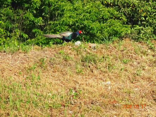 DSC03614.JPG