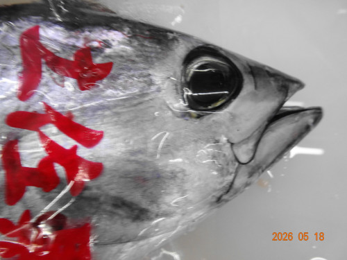 DSC03628.JPG